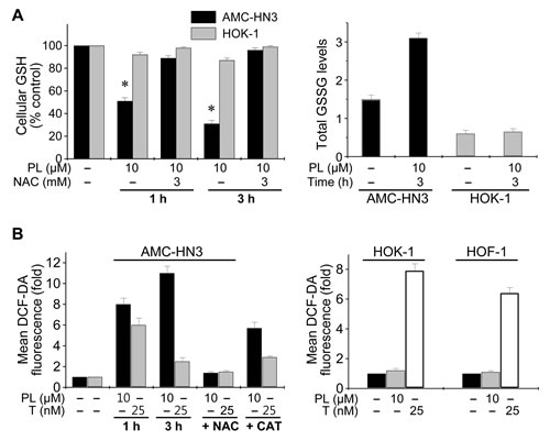fig2