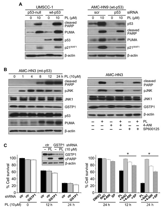 fig4