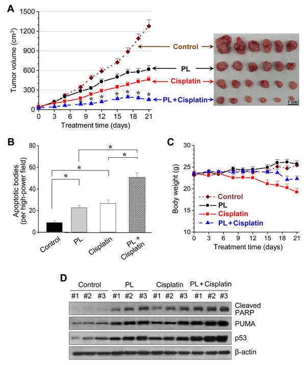 fig6