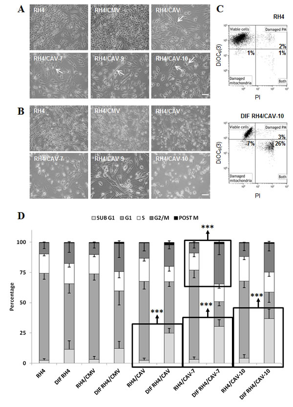 fig4