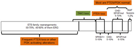 fig1