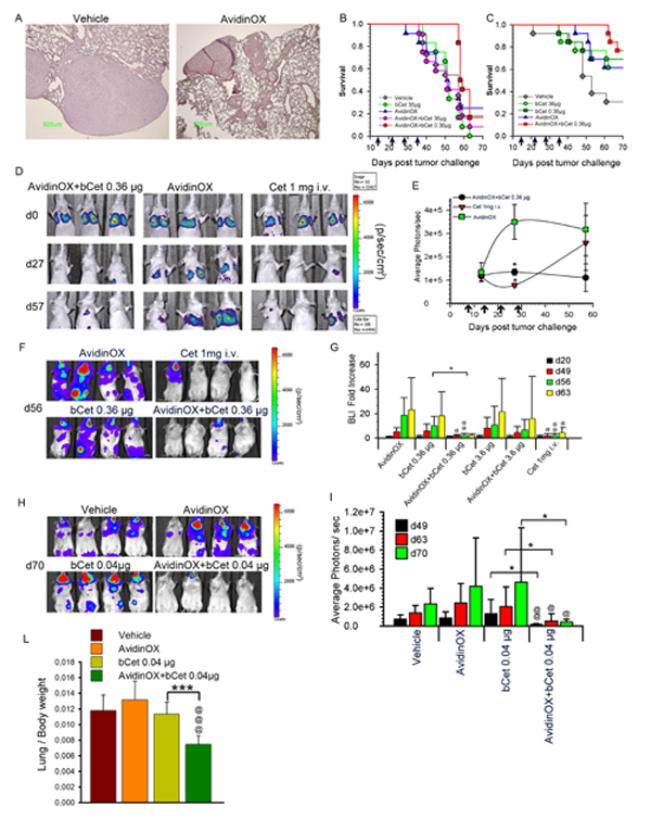 fig6