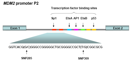 Knappskog_Lonning_Figures.pdf