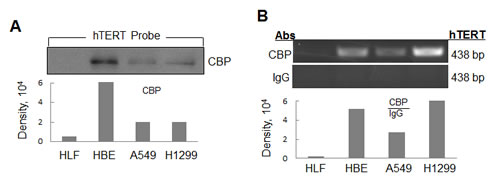 fig1