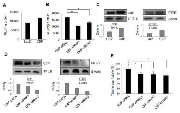 fig2