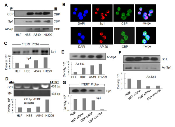 fig6