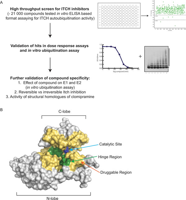 fig4
