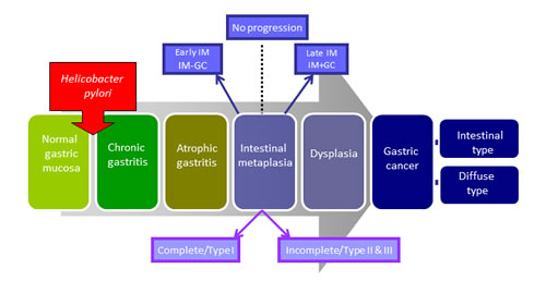 fig1
