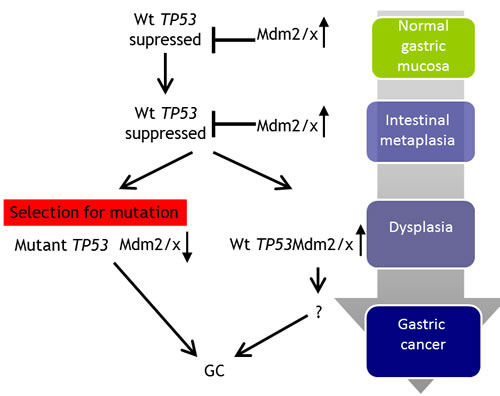 fig3