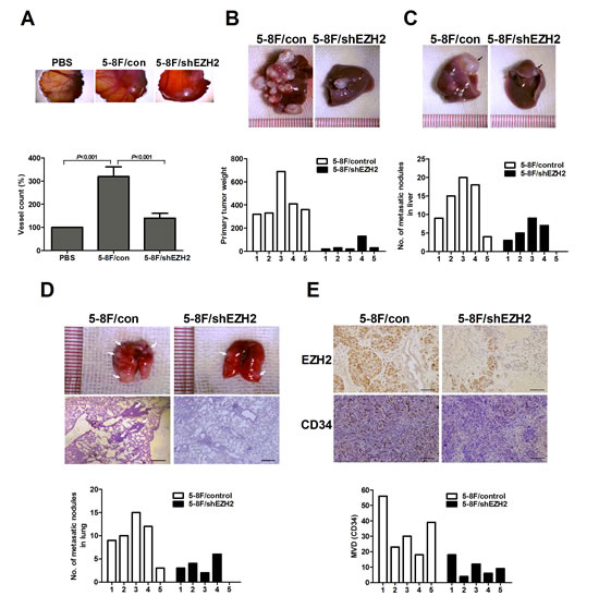 fig3