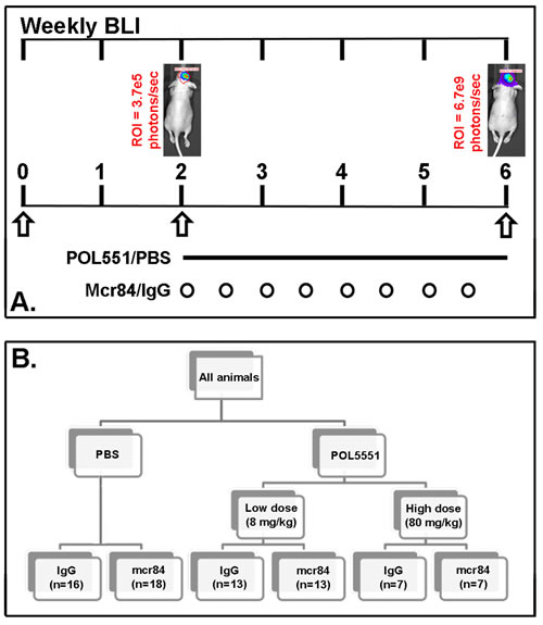 fig1