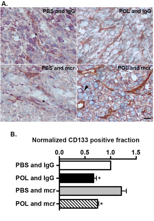 fig6