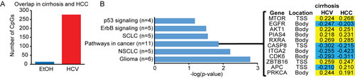 fig7