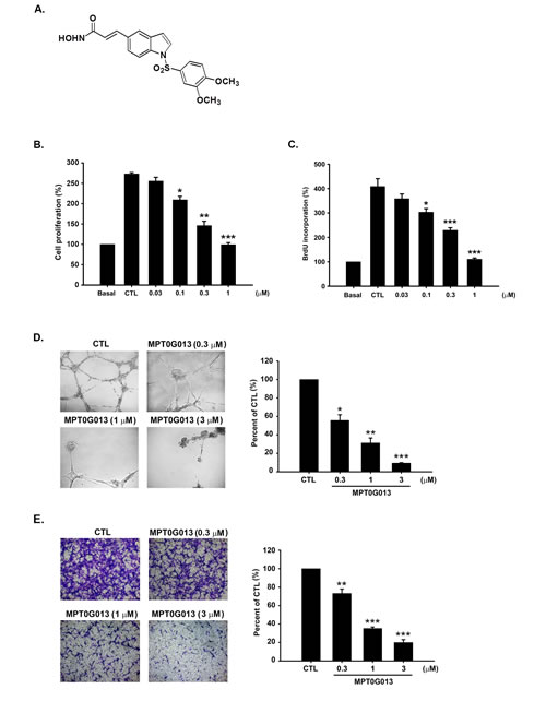 fig1