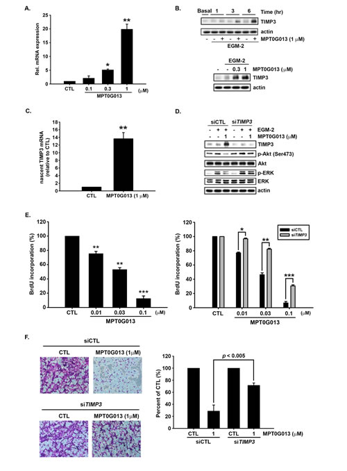 fig3