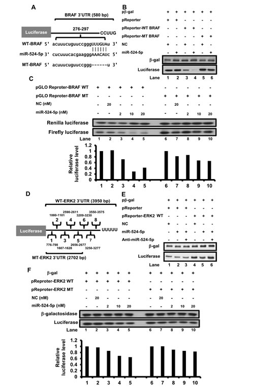 fig3