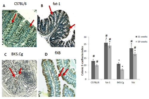 fig2