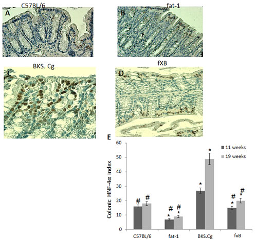 fig3
