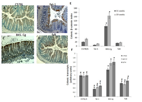 fig4
