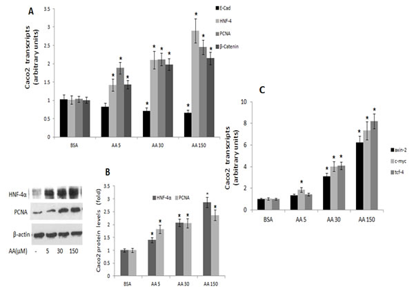 fig6