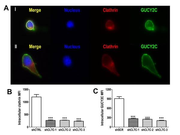 fig3