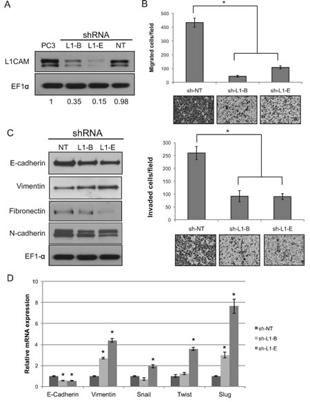fig3
