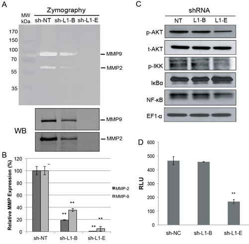 fig4