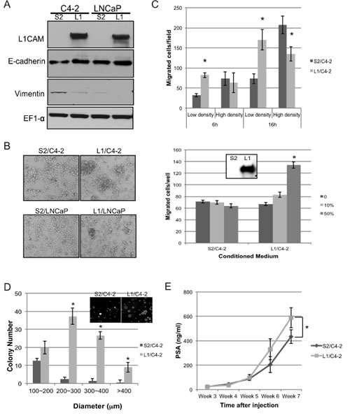 fig6
