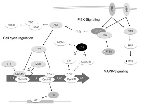 fig2