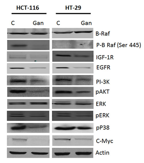 fig2