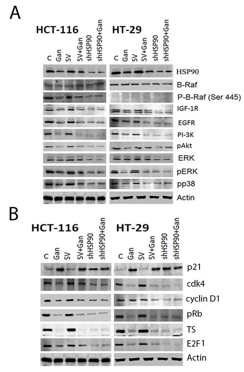 fig3
