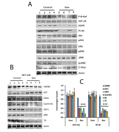 fig4