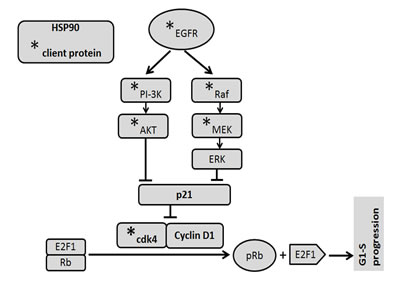 fig6