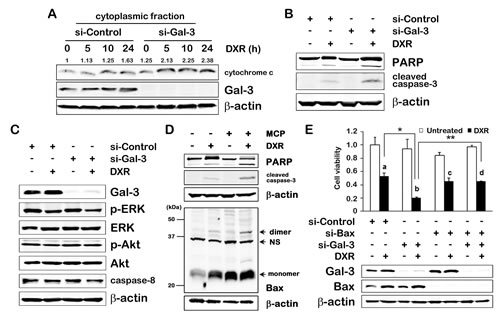 fig2
