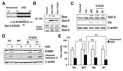 fig4