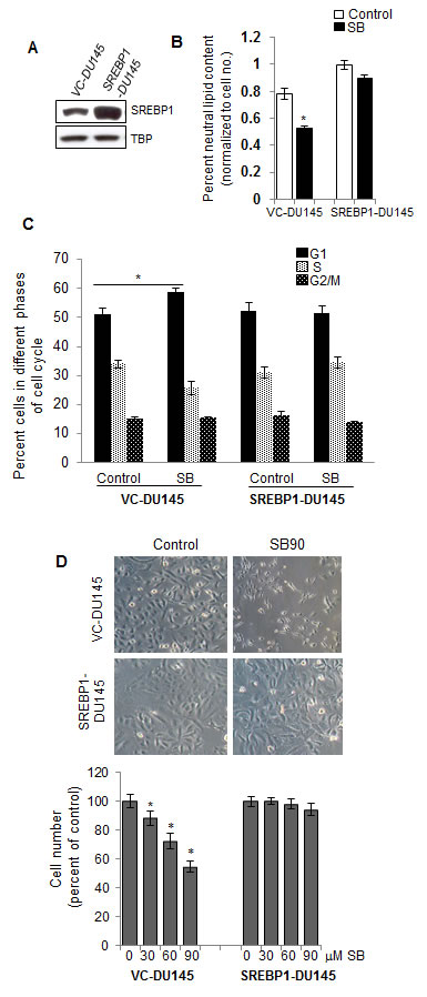 fig3