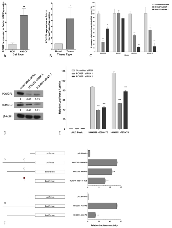 fig3