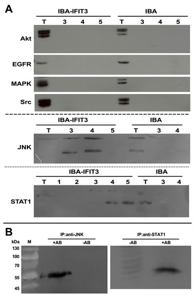 fig3