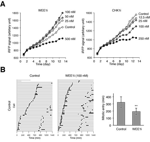 fig3