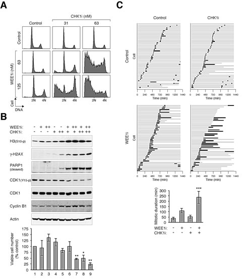 fig6
