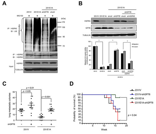 fig3