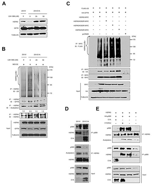 fig4