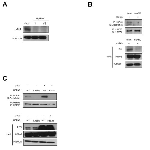 fig5