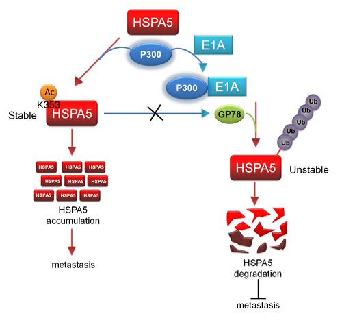 fig6