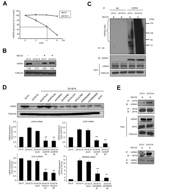 fig2