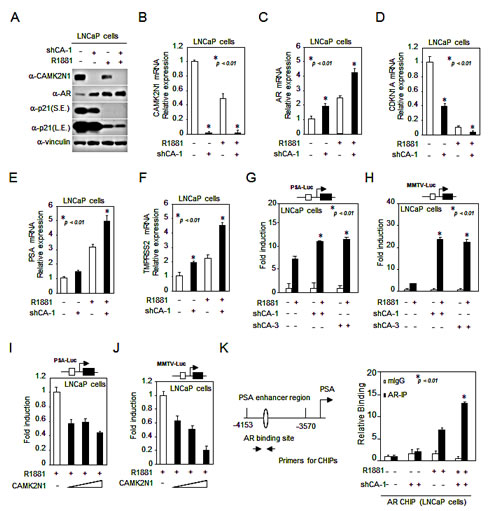 fig3