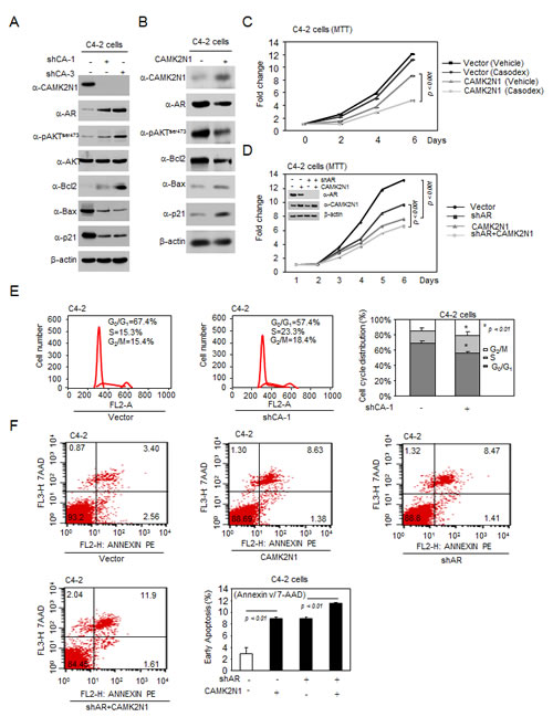 fig6