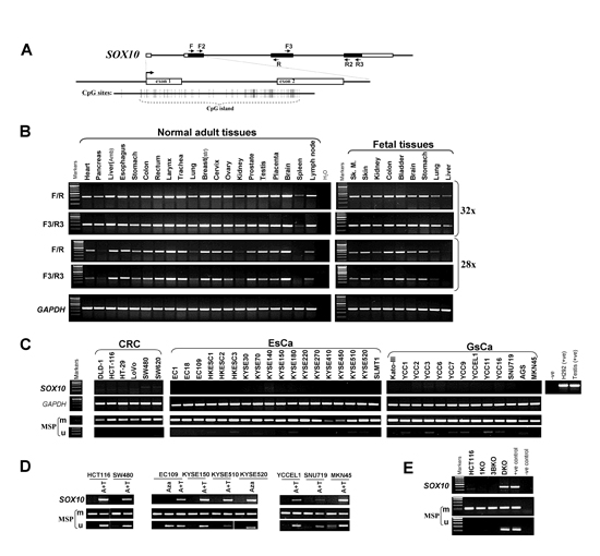 fig1