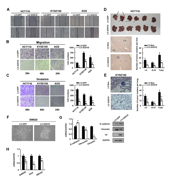 fig4