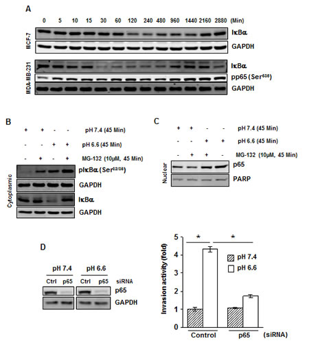 fig2